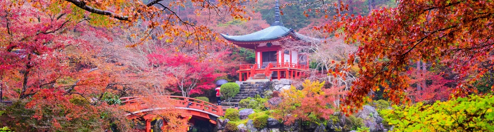 Kore’nin Renkleri, Japonya’nın Zarafeti