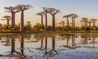 Azamara Journey ile Afrika